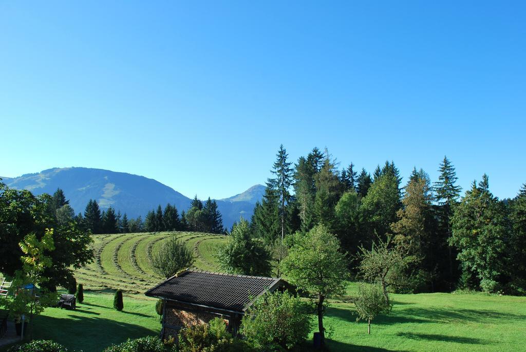 Berggasthof Baernstatt Шеффау-ам-Вильден-Кайзер Экстерьер фото